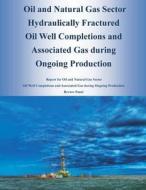 Oil and Natural Gas Sector Hydraulically Fractured Oil Well Completions and Associated Gas During Ongoing Production di U. S. Environmental Protection Agency edito da Createspace