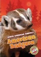 American Badgers di Rebecca Sabelko edito da BELLWETHER MEDIA