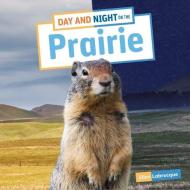 Day and Night on the Prairie di Ellen Labrecque edito da PEBBLE BOOKS