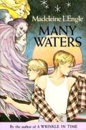 Many Waters di Madeleine L'Engle edito da Farrar Straus Giroux