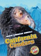 California Condors di Rebecca Sabelko edito da BELLWETHER MEDIA