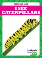I See Caterpillars di Genevieve Nilsen edito da TADPOLE BOOKS