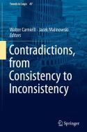Contradictions, from Consistency to Inconsistency edito da Springer-Verlag GmbH