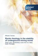 Rocks rheology in the stability of underground mining works di Mihaela Toderas edito da SPS