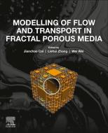 Modelling of Flow and Transport in Fractal Porous Media edito da ELSEVIER
