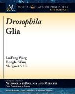 Drosophila Glia di Linfang Wang, Honglei Wang, Margaret S. Ho edito da MORGAN & CLAYPOOL