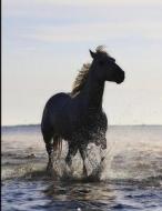 Horse in the Sea: Horses Running in the Sea Sketchbook or Blank Book Journal. 8.5 X 11. Stunning Full Color Horses Running in the Sea La di Animus Designs edito da Createspace Independent Publishing Platform