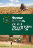 Normas Minimas Para La Recuperacion Economica (bulk Pack X 20) di The Seep Network edito da Practical Action Publishing
