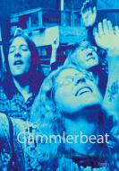 Gammlerbeat di Peter Scheel edito da Books on Demand
