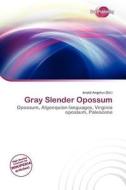 Gray Slender Opossum edito da Duct Publishing