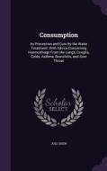 Consumption di Joel Shew edito da Palala Press