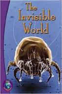 Rigby Infoquest: Leveled Reader Bookroom Package Nonfiction (Levels W-Y) the Invisible World di Rigby edito da RIGBY