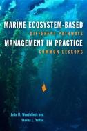 Marine Ecosystem-Based Management in Practice di Julia M. Wondolleck, Steven Lewis Yaffee edito da Island Press