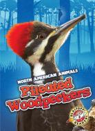 Pileated Woodpeckers di Rebecca Sabelko edito da BELLWETHER MEDIA