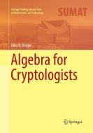 Algebra for Cryptologists di Alko R. Meijer edito da Springer International Publishing
