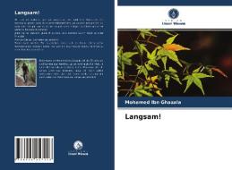 Langsam! di Mohamed Ibn Ghazala edito da Verlag Unser Wissen