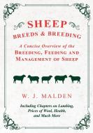 Sheep Breeds and Breeding - A Concise Overview of the Breeding, Feeding and Management of Sheep, Including Chapters on L di W. J. Malden edito da Home Farm Books