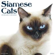 Siamese Cats Calendar edito da Willow Creek Press