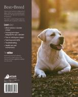 The Labrador: Your Essential Guide from Puppy to Senior Dog di David Craig edito da MAGNET & STEEL USA INC