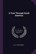 A Tour Through South America; di A. S. B. Forrest edito da CHIZINE PUBN