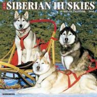 Siberian Huskies Calendar edito da Willow Creek Press
