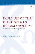 Paul's Use of the Old Testament in Romans 9:19-24: An Intertextual and Theological Exegesis di Brian J. Abasciano edito da T & T CLARK US