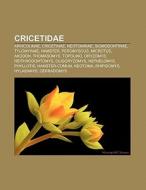 Cricetidae: Arvicolinae, Cricetinae, Neo di Fonte Wikipedia edito da Books LLC, Wiki Series