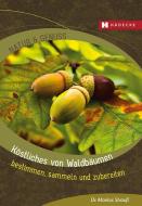 Köstliches von Waldbäumen di Markus Strauß edito da Hädecke Verlag GmbH