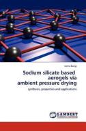 Sodium silicate based   aerogels via  ambient pressure drying di Uzma Bangi edito da LAP Lambert Academic Publishing