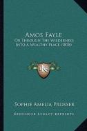 Amos Fayle: Or Through the Wilderness Into a Wealthy Place (1878) di Sophie Amelia Prosser edito da Kessinger Publishing