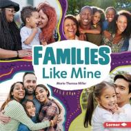Families Like Mine di Marie-Therese Miller edito da LERNER PUBN