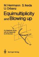 Equimultiplicity and Blowing Up di Manfred Herrmann, Shin Ikeda, Ulrich Orbanz edito da Springer Berlin Heidelberg