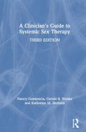 A Clinician's Guide To Systemic Sex Therapy di Nancy Gambescia, Gerald R. Weeks, Katherine M. Hertlein edito da Taylor & Francis Ltd