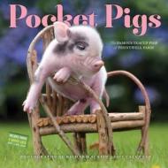 Pocket Pigs Wall Calendar 2017 di Workman Publishing, Richard Austin edito da Algonquin Books (division Of Workman)