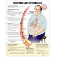 Metabolic Syndrome Anatomical Chart edito da Anatomical Chart Co.