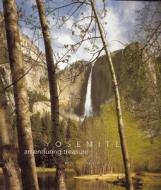 Yosemite an Enduring Treasure di Keith S. Walklet edito da Yosemite Association