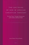 The Doctrine of God in African Christian Thought: The Holy Trinity, Theological Hermeneutics and the African Intellectua di James Henry Owino Kombo edito da BRILL ACADEMIC PUB