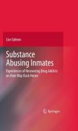 Substance Abusing Inmates di Lior Gideon edito da Springer-Verlag New York Inc.