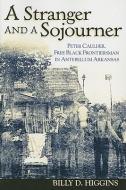 Stranger & Sojourner di Billy D. Higgins edito da The University of Arkansas Press