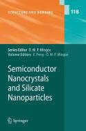 Semiconductor Nanocrystals and Silicate Nanoparticles edito da Springer Berlin Heidelberg
