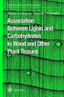 Association Between Lignin and Carbohydrates in Wood and Other Plant Tissues di Tetsuo Koshijima, Takashi Watanabe edito da Springer Berlin Heidelberg