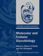 Molecular And Cellular Glycobiology edito da Oxford University Press