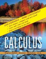Calculus: Single Variable di Deborah Hughes-Hallett, Andrew M. Gleason, William G. McCallum edito da John Wiley & Sons