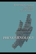 Phenomenology di Jean-Francois Lyotard edito da State University Press of New York (SUNY)