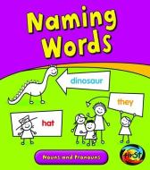 Naming Words: Nouns and Pronouns di Anita Ganeri edito da HEINEMANN LIB