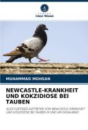 NEWCASTLE-KRANKHEIT UND KOKZIDIOSE BEI TAUBEN di Muhammad Mohsan edito da Verlag Unser Wissen