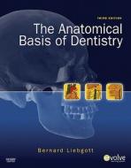 The Anatomical Basis Of Dentistry di Bernard Liebgott edito da Elsevier - Health Sciences Division
