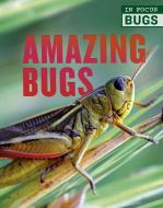 Amazing Bugs di Camilla De La Bedoyere, Melanie Bridges edito da QEB PUB QUARTO LIB