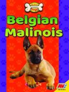 Belgian Malinois di Katie Gillespie edito da AV2