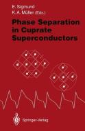 Phase Separation in Cuprate Superconductors edito da Springer Berlin Heidelberg